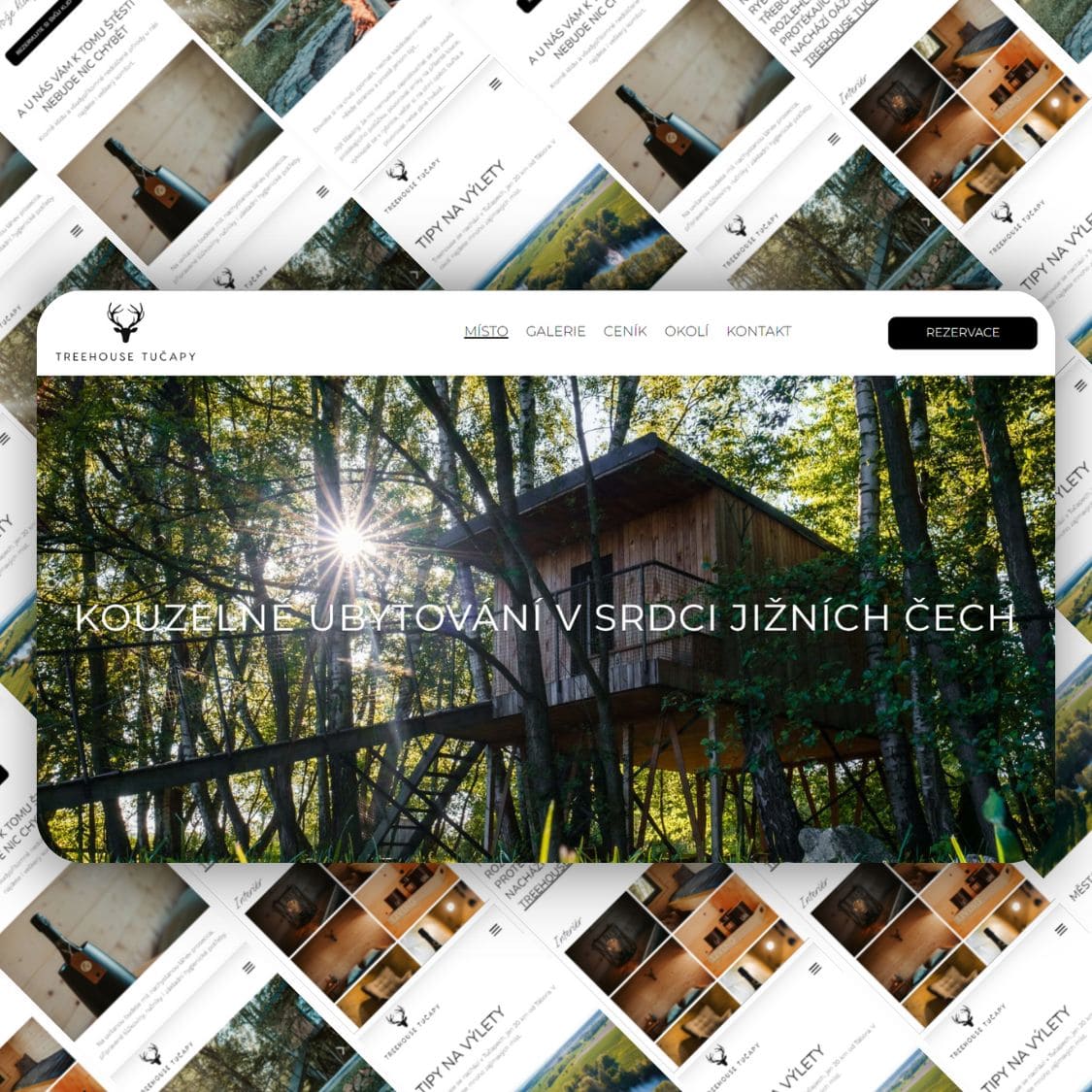 web pro treehouse